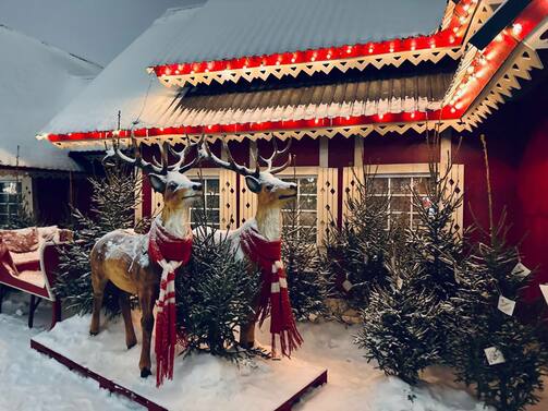 Фото: телеграм-канал «Кремлевская набережная»