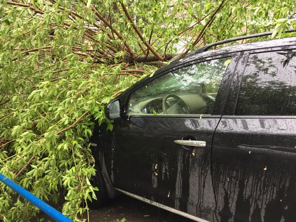 Фото: malinichi/twitter.com