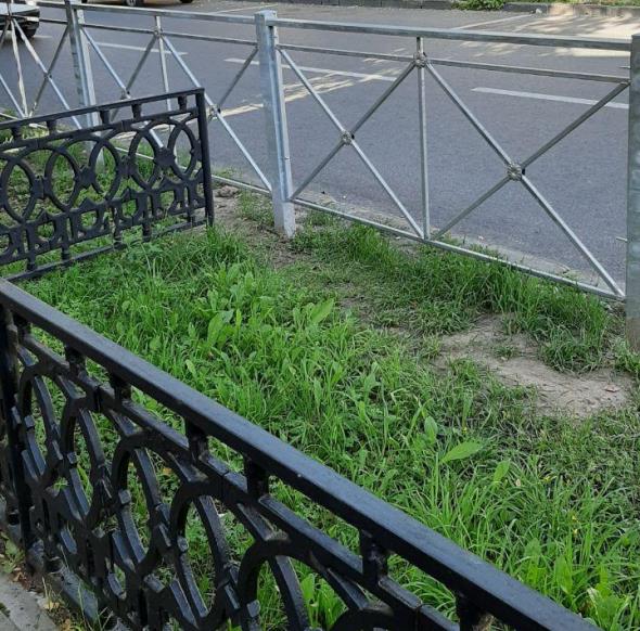 Фото: соцсети