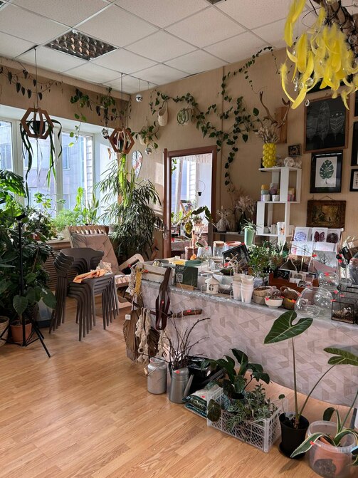 Фото: телеграм-канал Студия GreenMarket