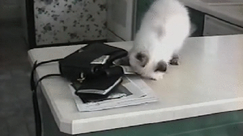 Фото: Personal Finance News