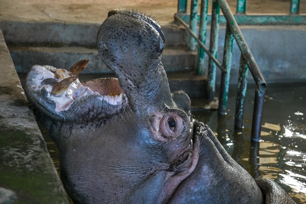 Фото: Марат Мугинов/kzn.ru