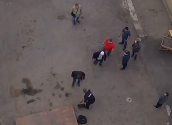 Фрагмент видео. Фото: vk.com