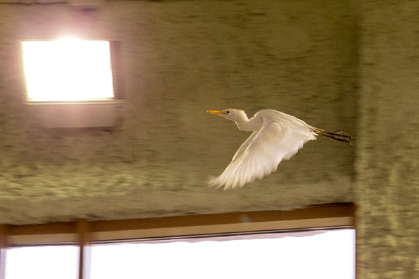 Фото: Марат Мугинов/kzn.ru