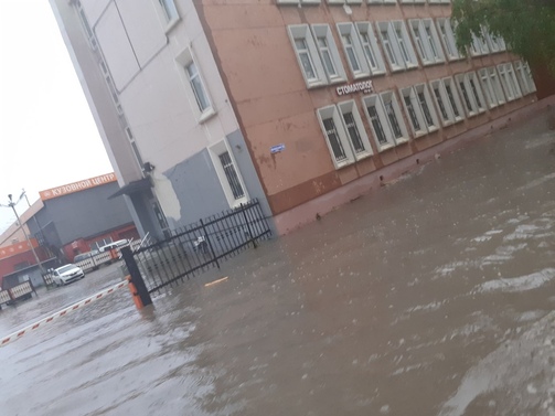 Фото: Никита Матвеев/vk.com