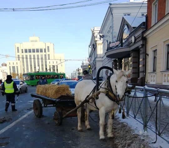 Фото: Ленар Галимов/vk.com