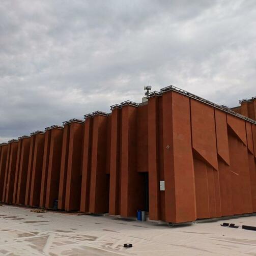 Фото: tigp_rt/instagram.com