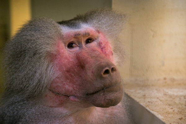 Фото: Марат Мугинов/kzn.ru