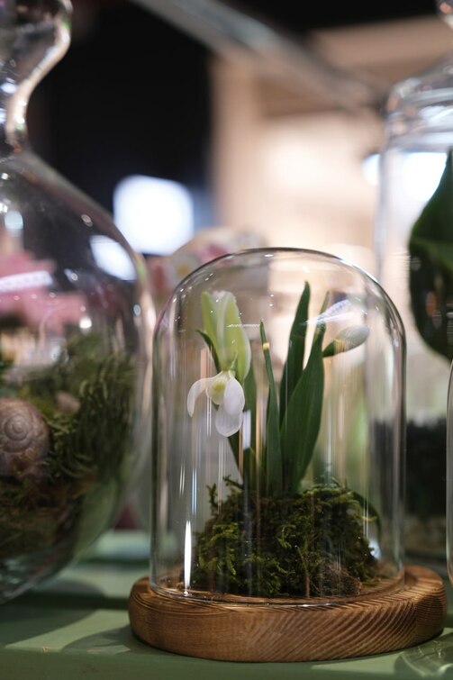 Фото: greenmarket_kzn/vk.com