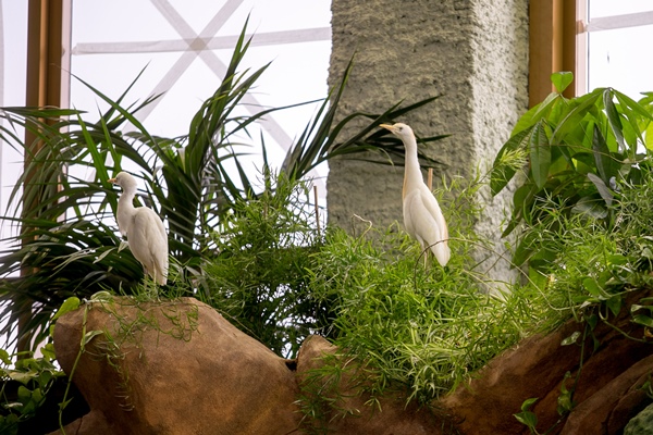 Фото: Марат Мугинов/kzn.ru