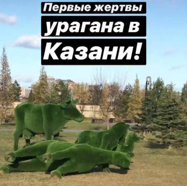 Фото: zinnatulla/instagram.com