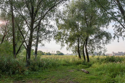 Фото: Марат Мугинов/kzn.ru