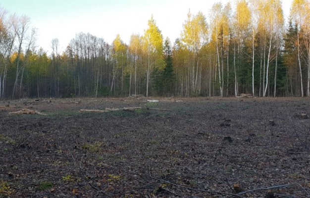 Фото: facebook.com/ruroom