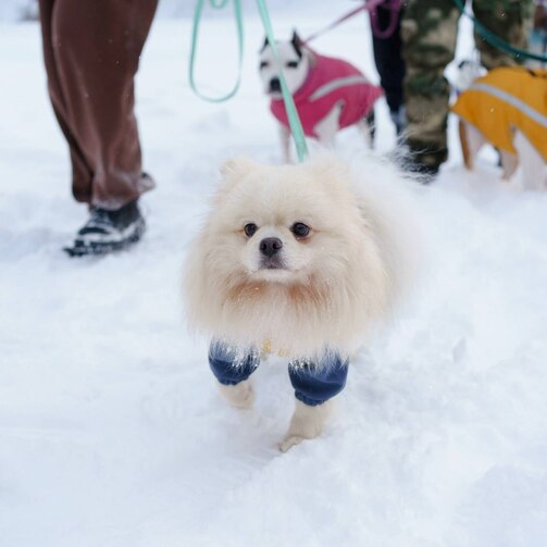 Фото: parkikazani/vk.com
