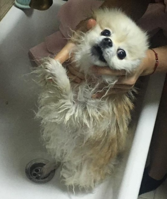 Фото: пресс-служба МЧС РТ