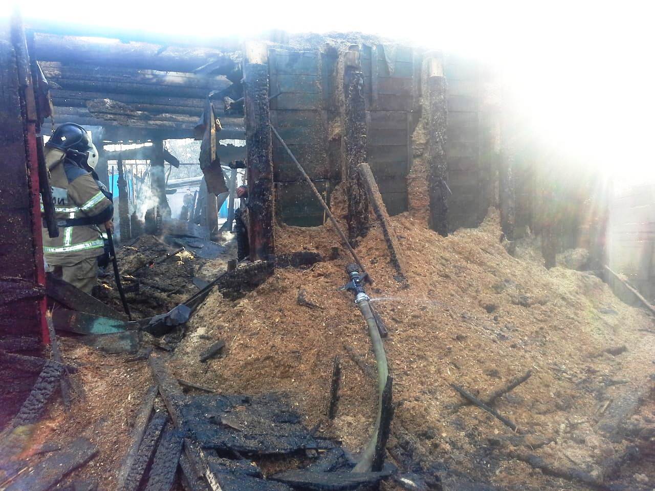 Фото: mchs.tatarstan/vk.com