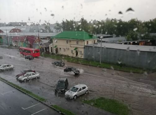 Фото: Людмила Моисеева/vk.com