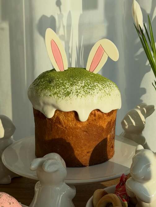 Фото: kazan.themedovik.ru