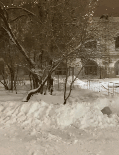 Видео: читатель e-Kazan