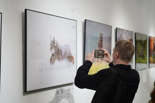 Фото: kitaphane_tatarstan/vk.com