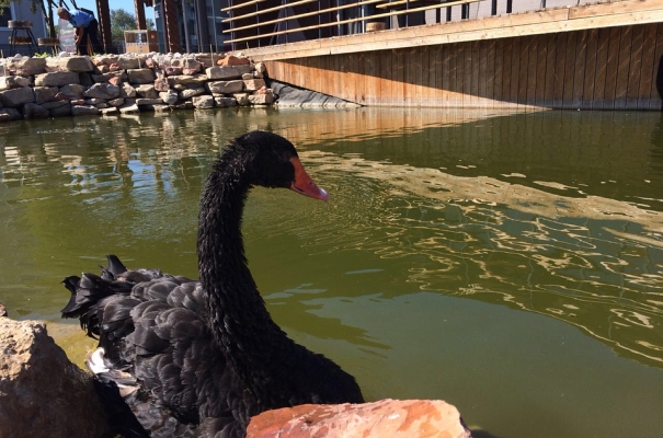 Фото: instagram.com/park.kzn