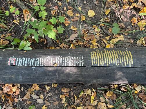 Все фото: телеграм-канал дирекции парков