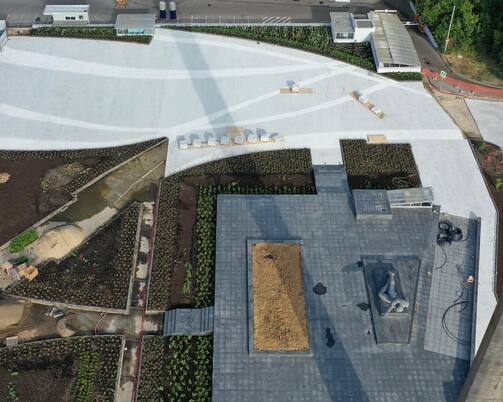 Фото: телеграм-канал Комитета внешнего благоустройства Казани