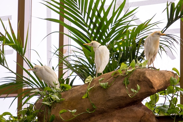 Фото: Марат Мугинов/kzn.ru