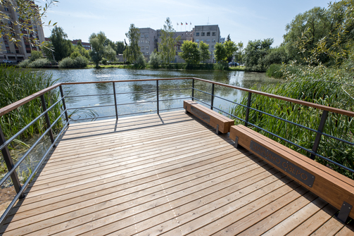 Фото: Марат Мугинов/kzn.ru