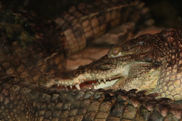 Фото: shn.tatarstan.ru