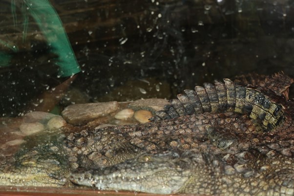 Фото: shn.tatarstan.ru