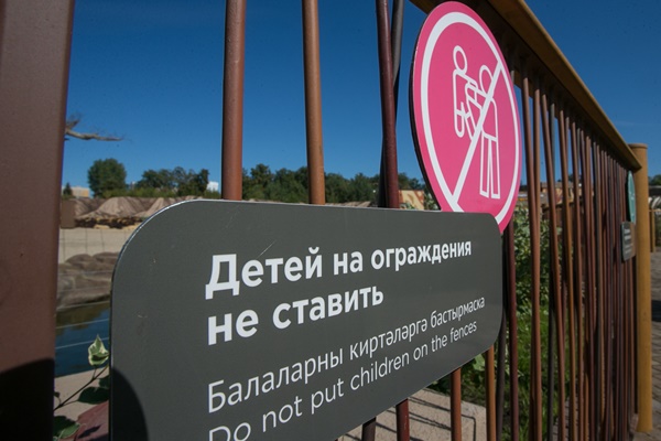 Фото: Марат Мугинов/kzn.ru