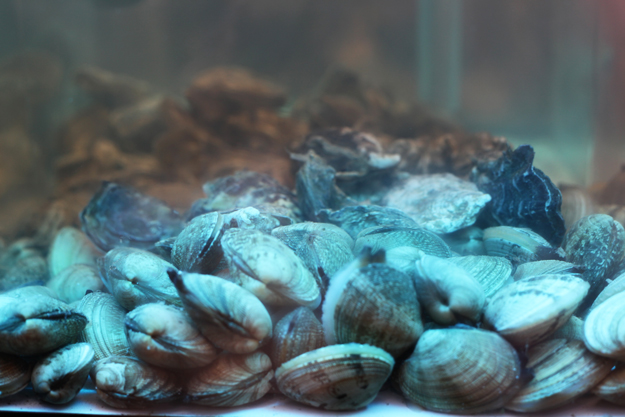 Фото: bahetle.com