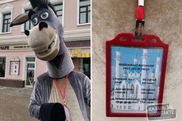 Фото: kazancat.ru