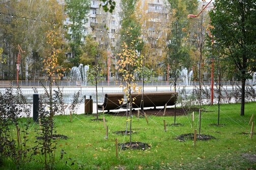 Фото: Денис Гордийко/kzn.ru