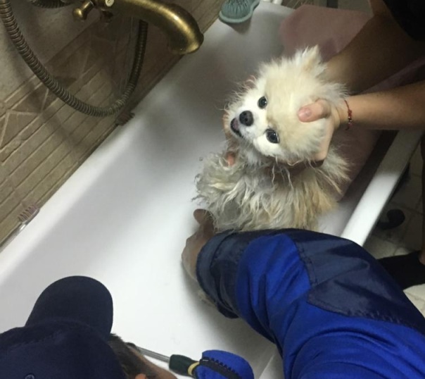 Фото: пресс-служба МЧС РТ