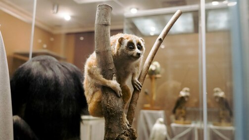 Фото: mincult.tatarstan.ru