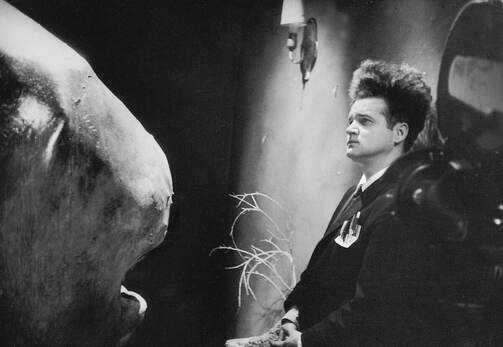 Фото: American Film Institute (AFI), Libra Films