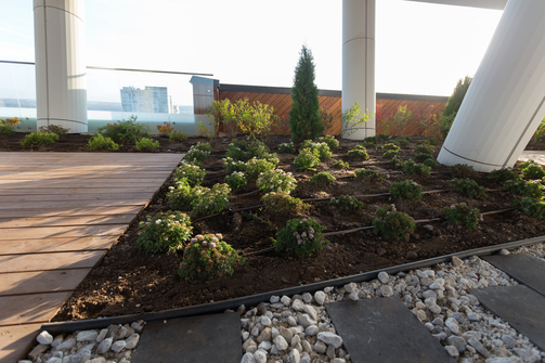 Фото застройщика