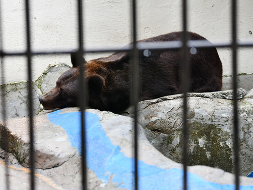 Фото: Денис Гордийко/kzn.ru