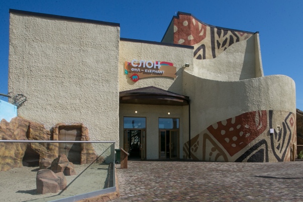 Фото: Марат Мугинов/kzn.ru