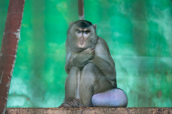 Фото: Марат Мугинов/kzn.ru