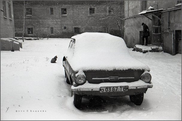Фото: Евгений Канаев