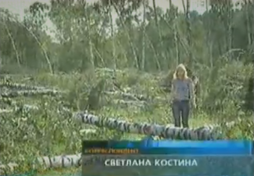 Повторим подпись с кадра: Светлана Костина