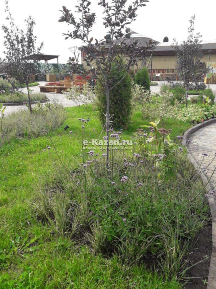 Фото: e-Kazan.ru