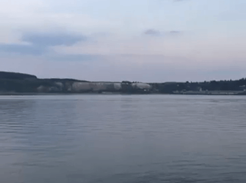 Видео: murucututu/instagram.com