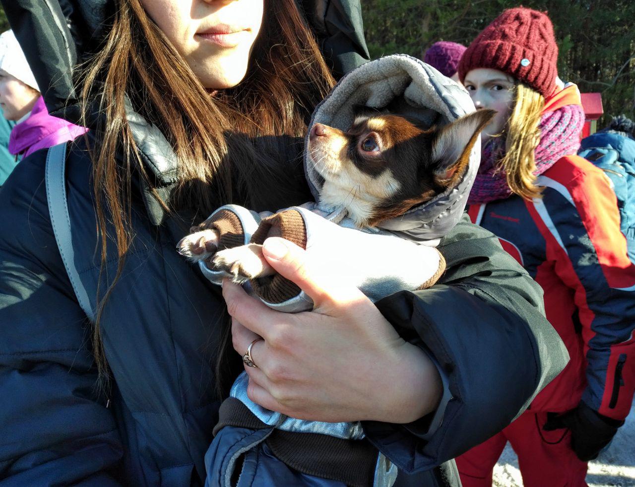 Фото: e-Kazan.ru 