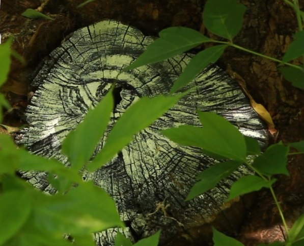 Фото: mash/vk.com