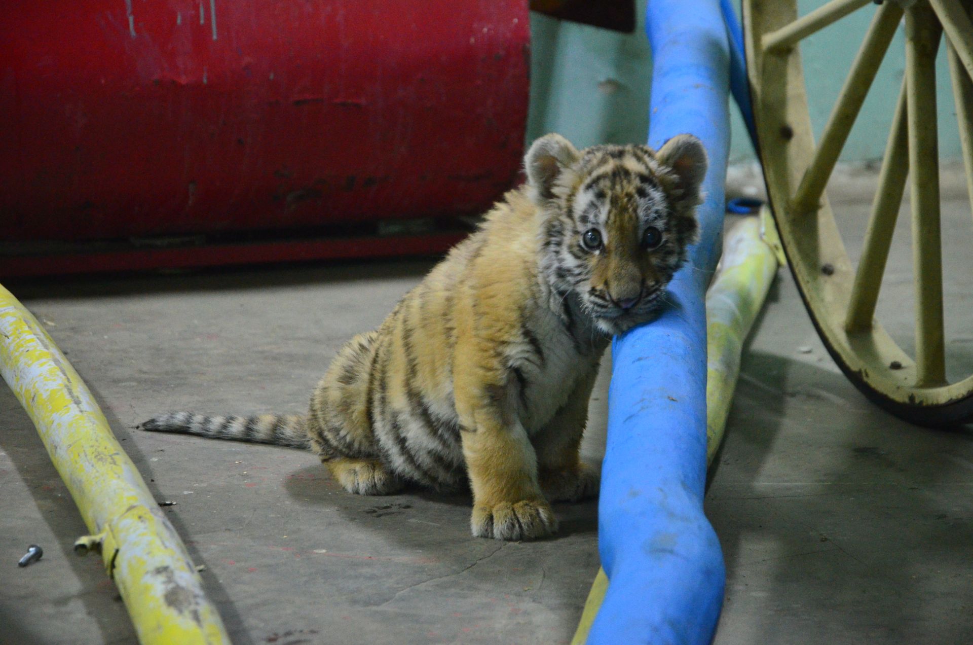 Фото: chelny-izvest.ru