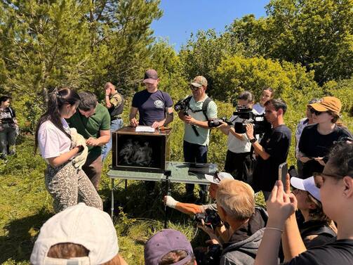 Московские и казанские соколы в «телевизоре». Фото: minecort/vk.com